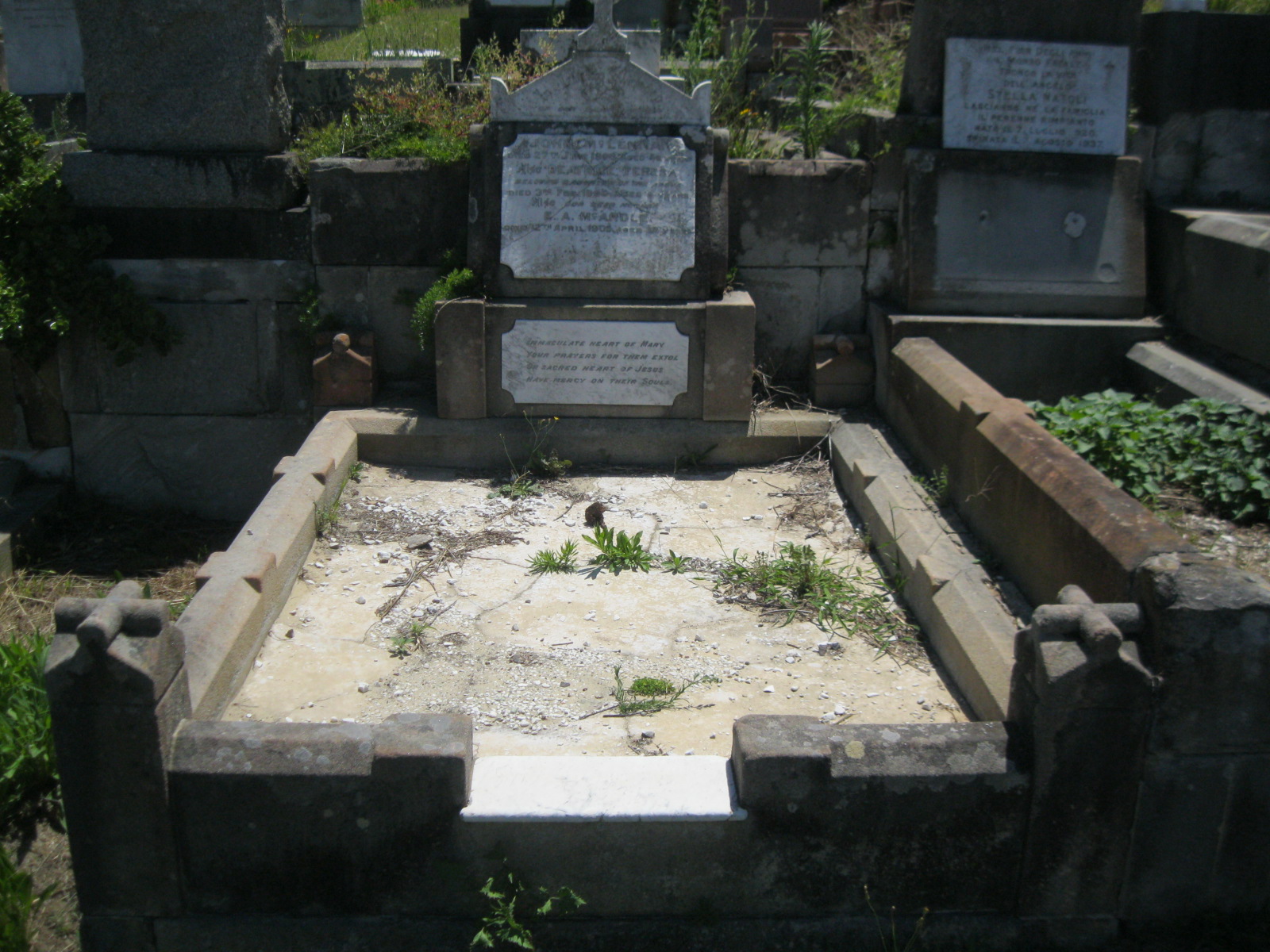 Photo of headstones/John McLennan d 1898 hdstn Waverley Cemetery